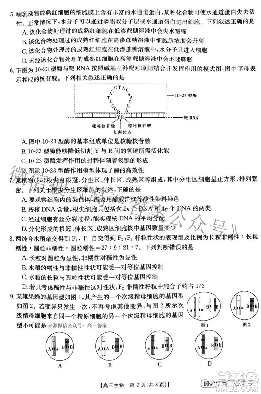 2023屆金太陽九月聯(lián)考1003C高三生物試題及答案