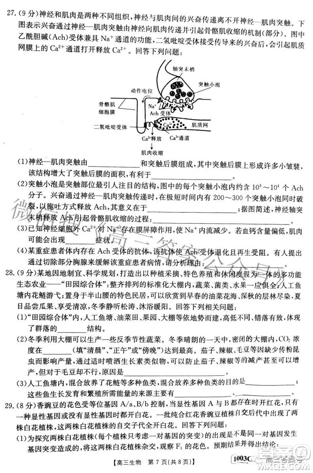 2023屆金太陽九月聯(lián)考1003C高三生物試題及答案