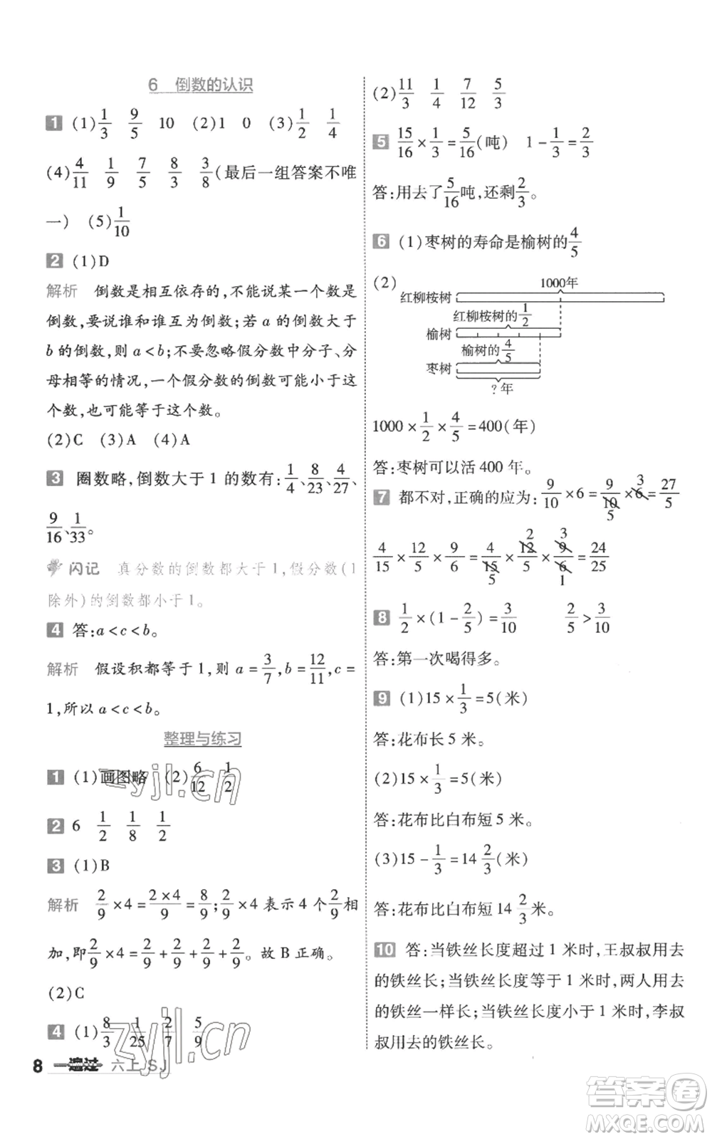 南京師范大學(xué)出版社2022秋季一遍過(guò)六年級(jí)上冊(cè)數(shù)學(xué)蘇教版參考答案