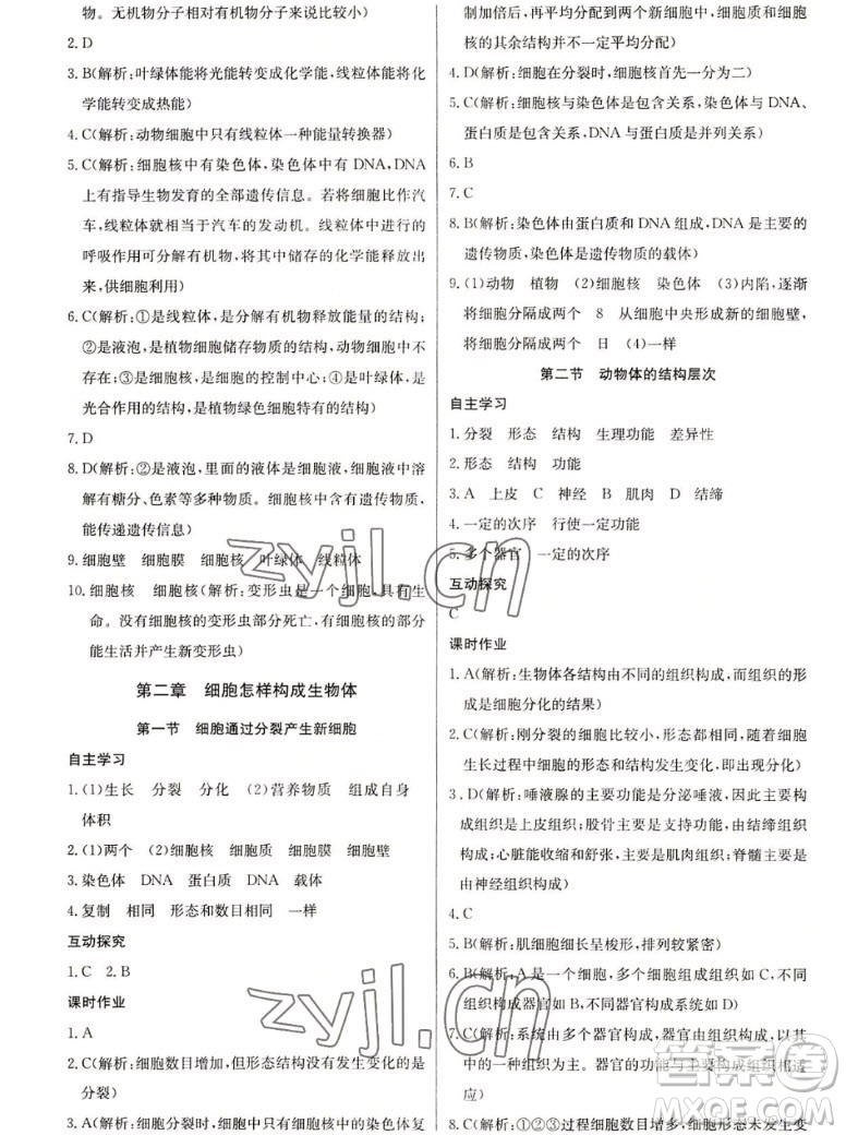 長江少年兒童出版社2022長江全能學(xué)案同步練習(xí)冊生物學(xué)七年級上冊人教版答案