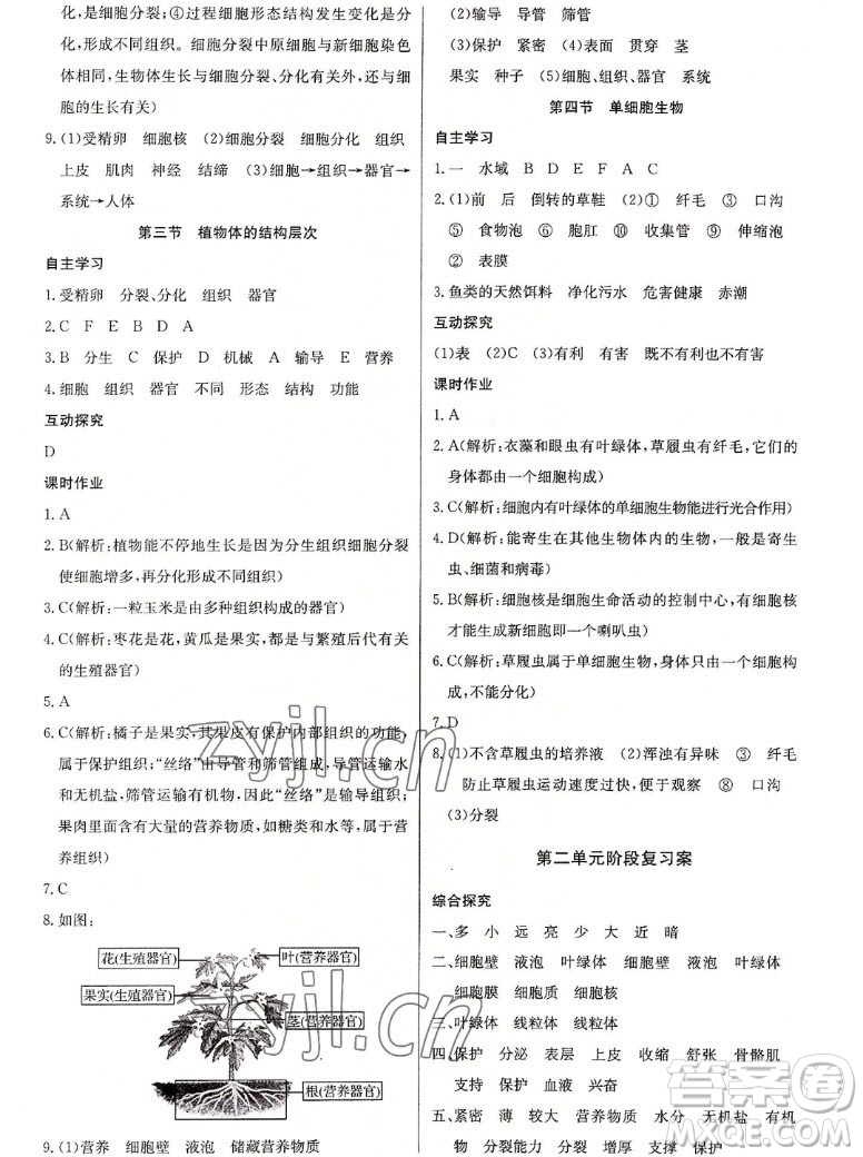 長江少年兒童出版社2022長江全能學(xué)案同步練習(xí)冊生物學(xué)七年級上冊人教版答案