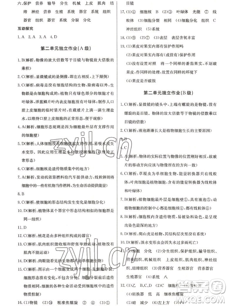 長江少年兒童出版社2022長江全能學(xué)案同步練習(xí)冊生物學(xué)七年級上冊人教版答案