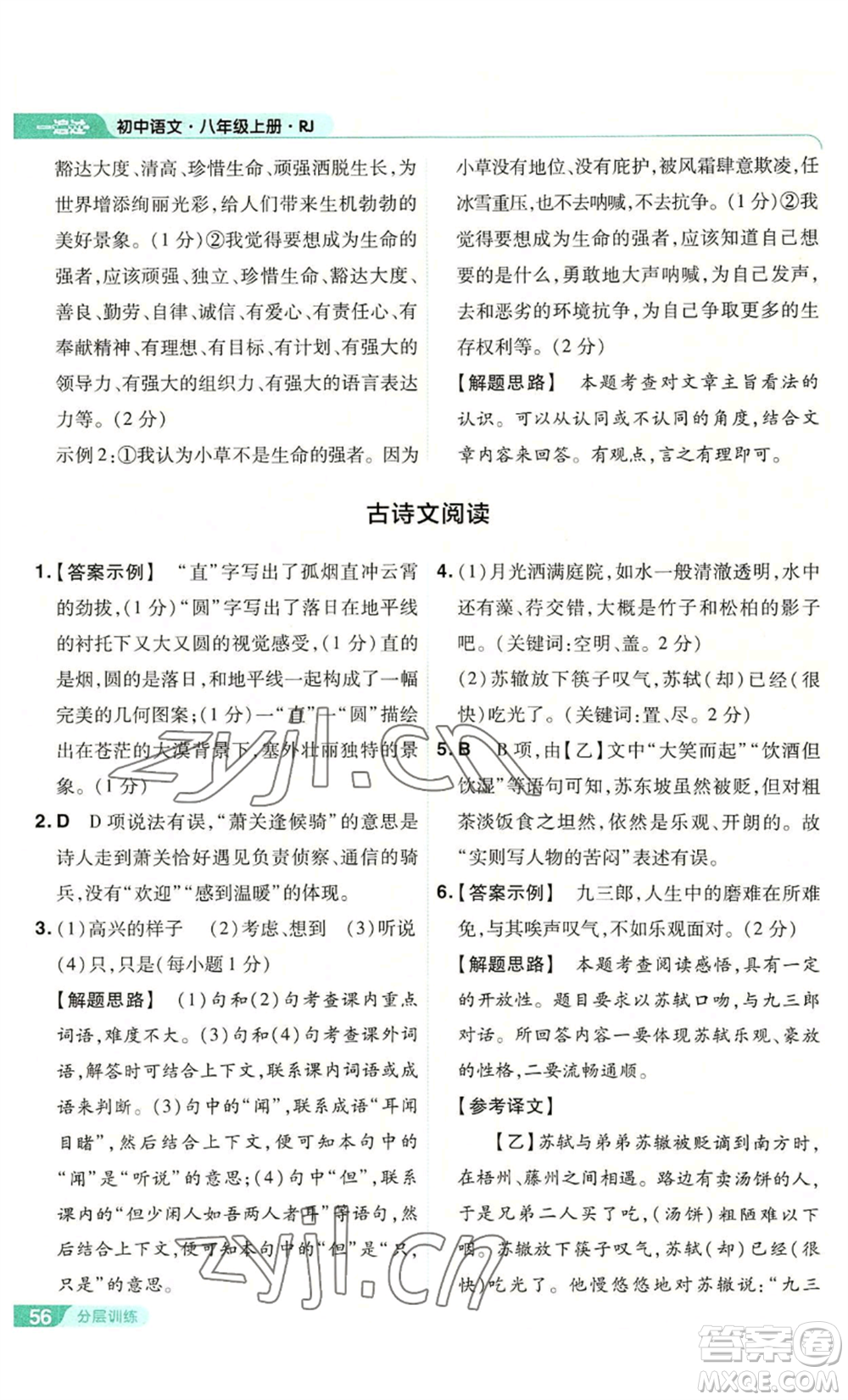 南京師范大學(xué)出版社2022秋季一遍過八年級上冊語文人教版參考答案