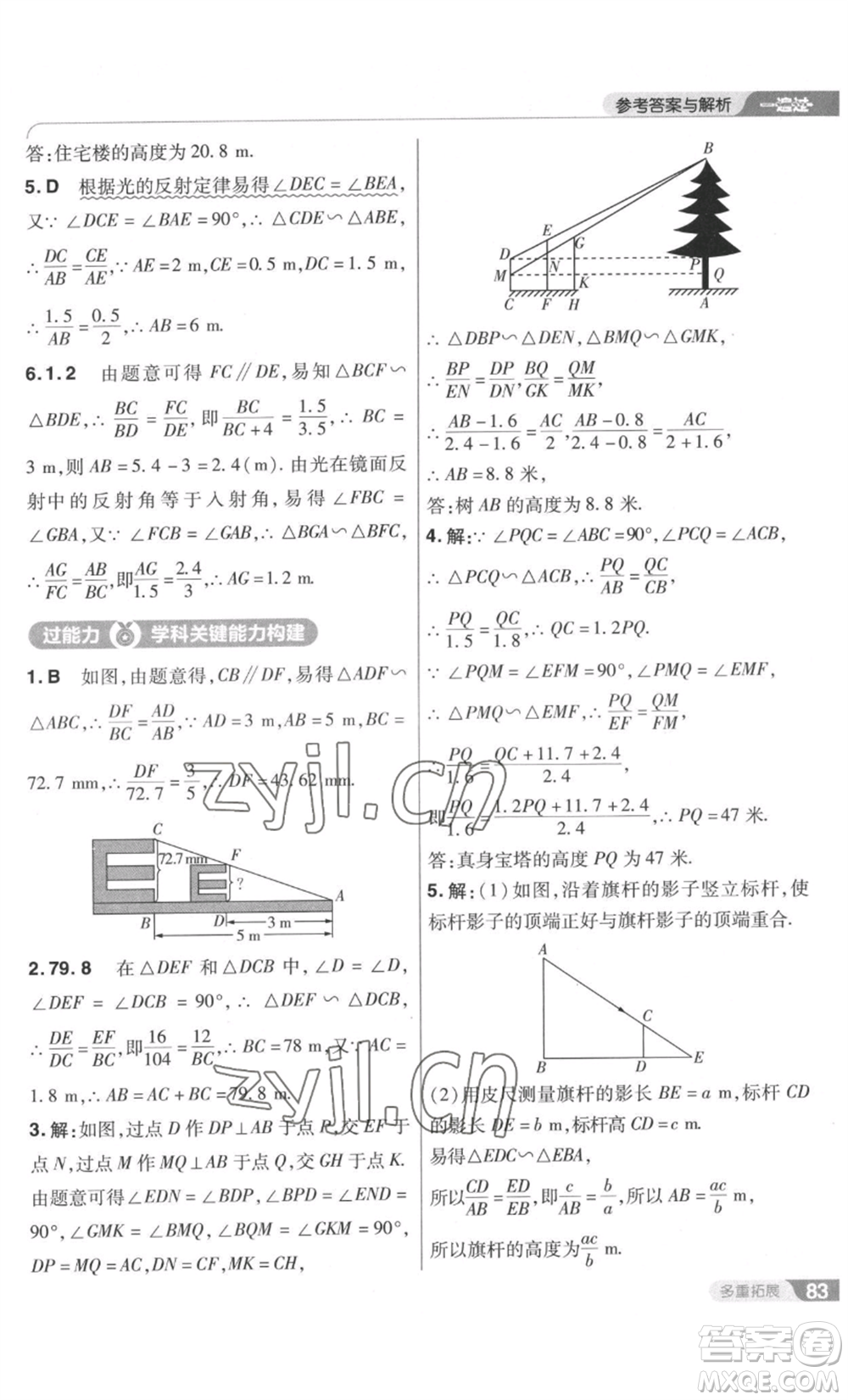 南京師范大學(xué)出版社2022秋季一遍過九年級上冊數(shù)學(xué)北師大版參考答案