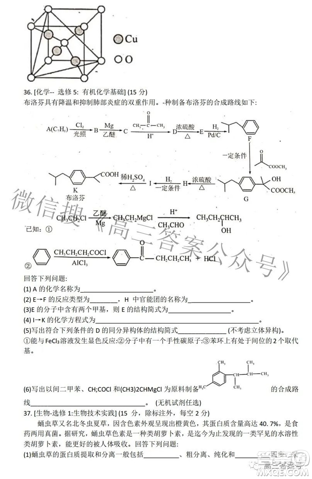 綿陽南山中學(xué)2022年秋高2020級理科綜合演練二試題及答案