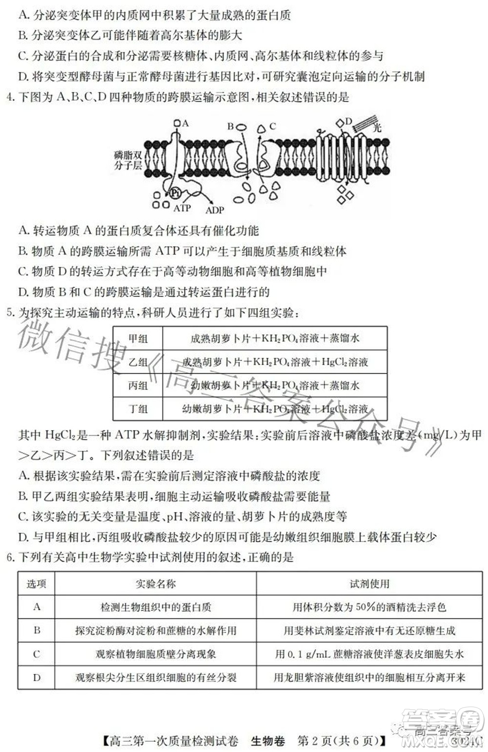 2023屆惠陽中山龍門中學(xué)惠舟仲愷中學(xué)三校高三第一次質(zhì)量檢測試卷生物試題及答案