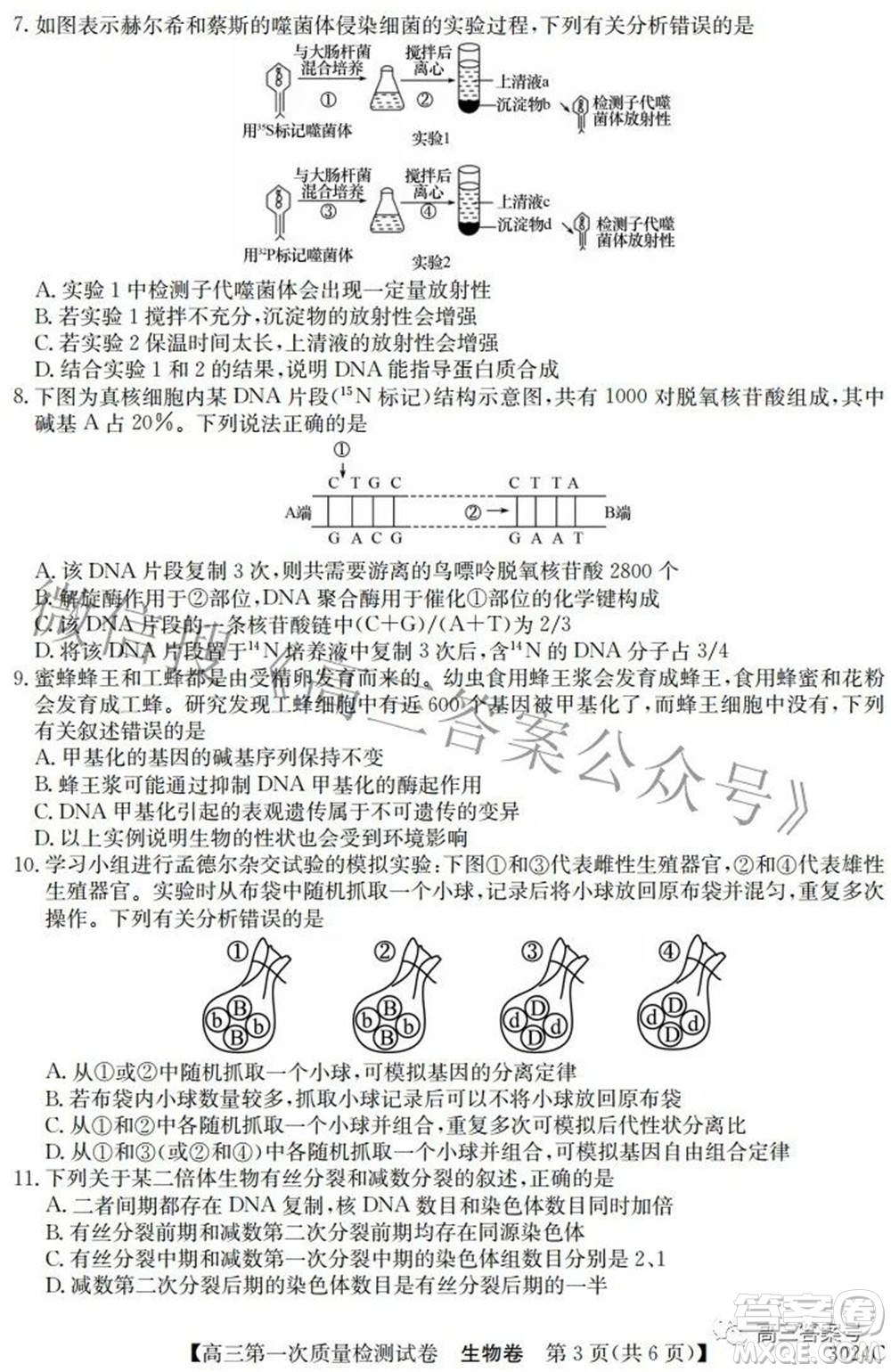 2023屆惠陽中山龍門中學(xué)惠舟仲愷中學(xué)三校高三第一次質(zhì)量檢測試卷生物試題及答案