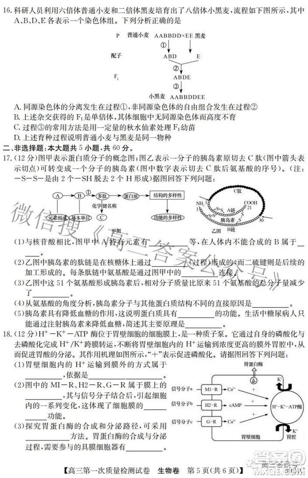 2023屆惠陽中山龍門中學(xué)惠舟仲愷中學(xué)三校高三第一次質(zhì)量檢測試卷生物試題及答案