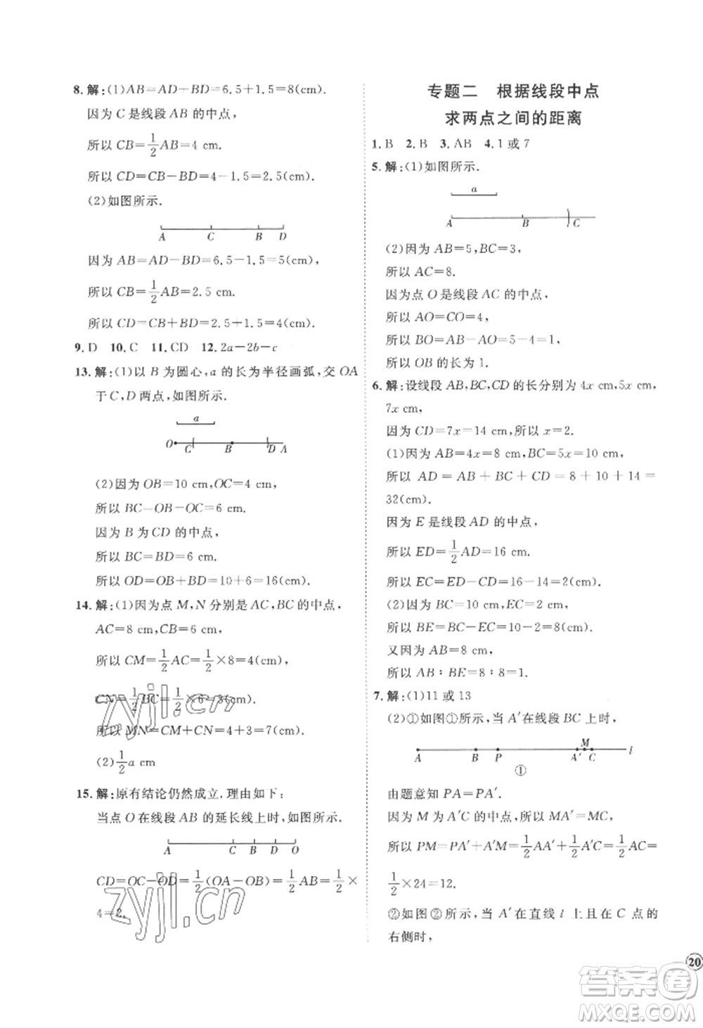 延邊教育出版社2022秋季優(yōu)+學(xué)案課時(shí)通七年級上冊數(shù)學(xué)青島版濰坊專版參考答案