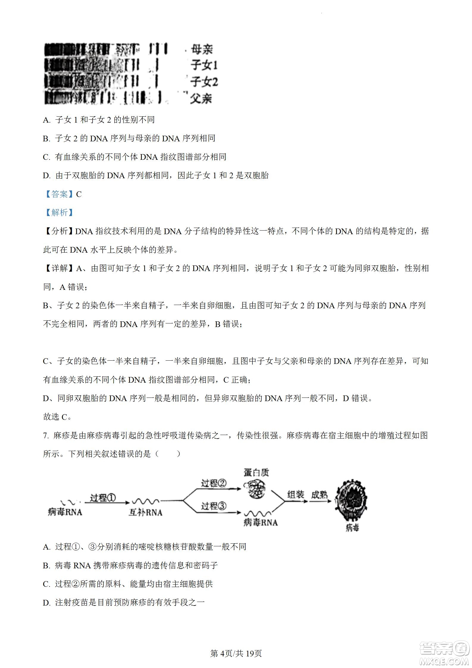 河北省省級聯(lián)測2022-2023學(xué)年高三上學(xué)期第一次月考生物試題及答案