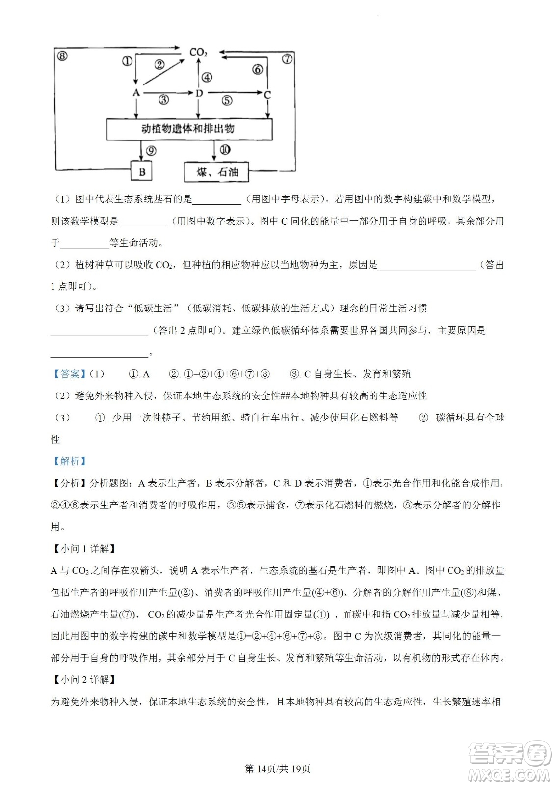 河北省省級聯(lián)測2022-2023學(xué)年高三上學(xué)期第一次月考生物試題及答案