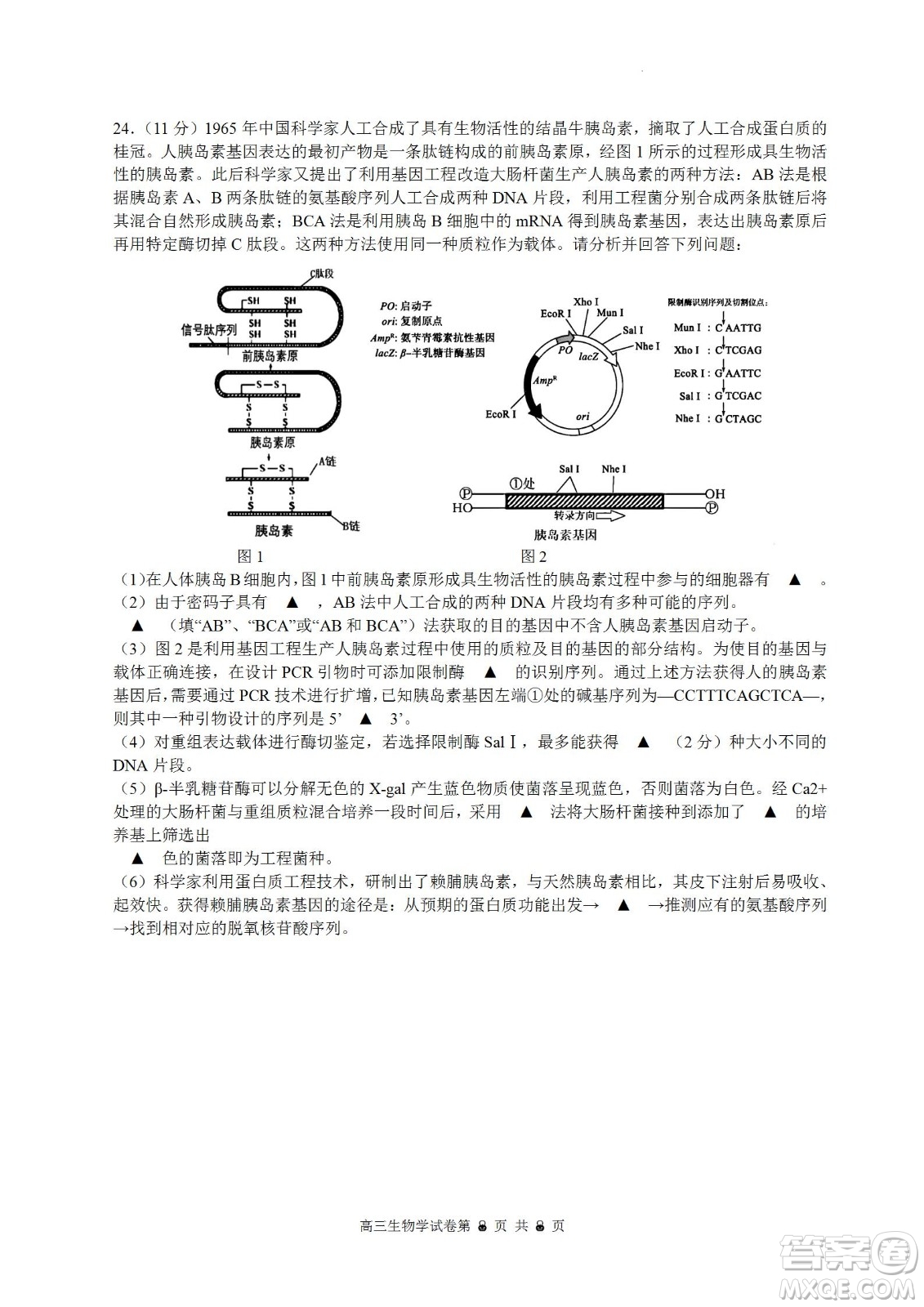 南京市2023屆高三年級(jí)學(xué)情調(diào)研生物試題及答案