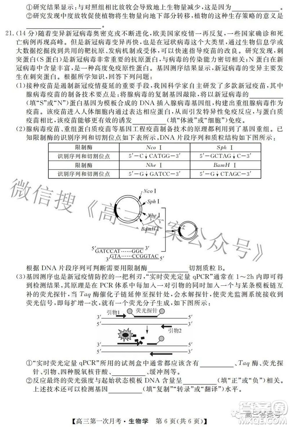 永州一中2023屆高三第一次月考生物學(xué)試題及答案