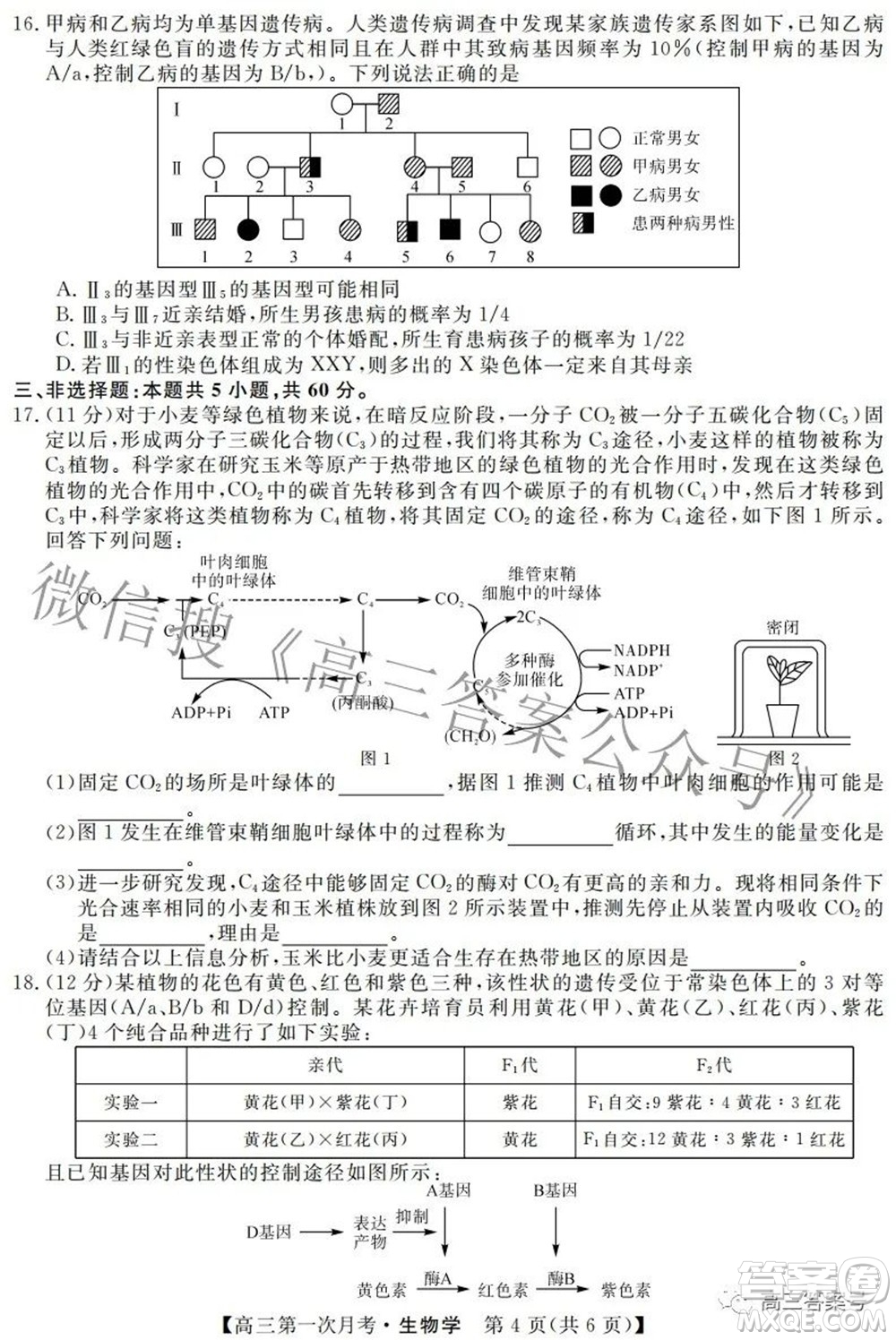 永州一中2023屆高三第一次月考生物學(xué)試題及答案