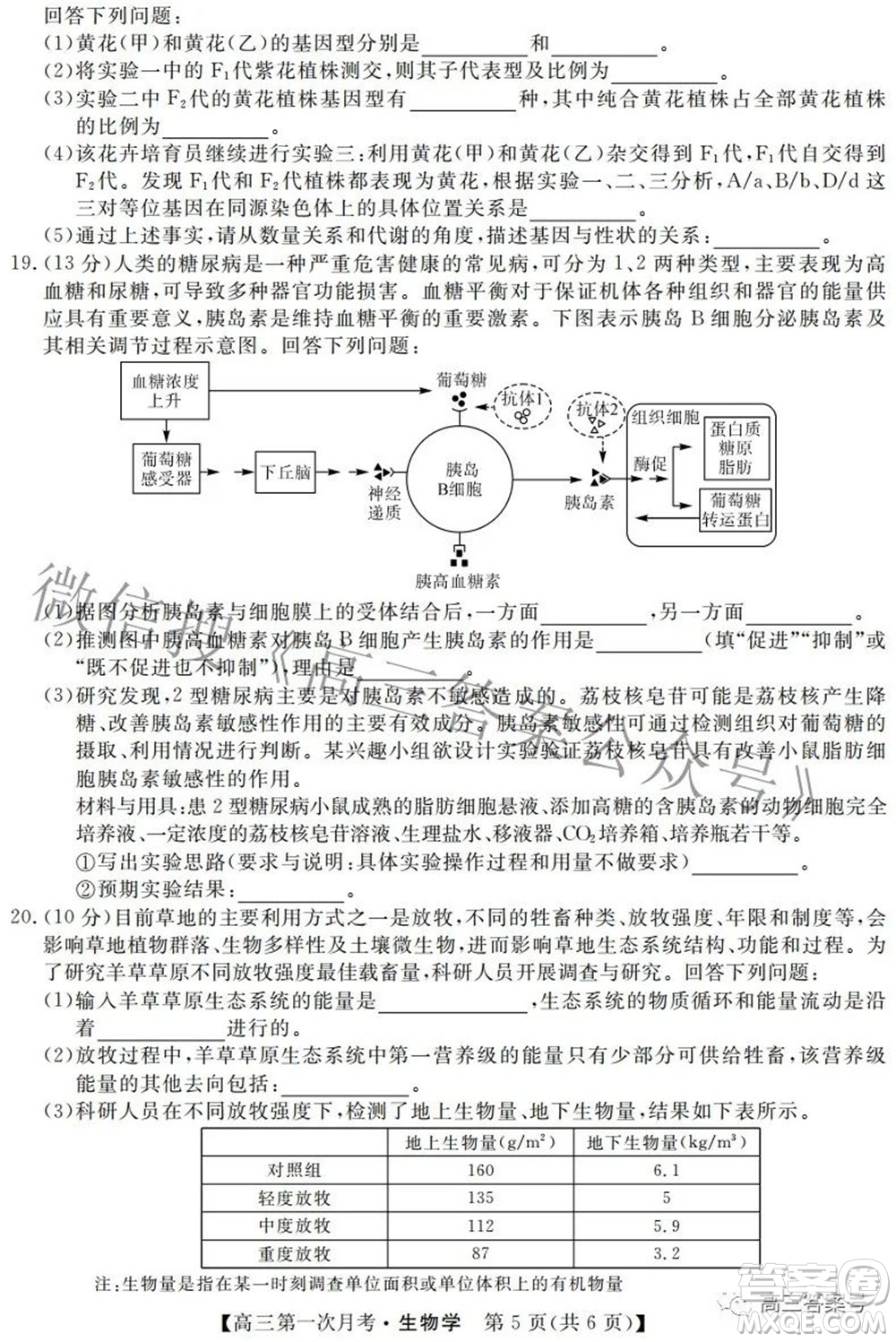 永州一中2023屆高三第一次月考生物學(xué)試題及答案