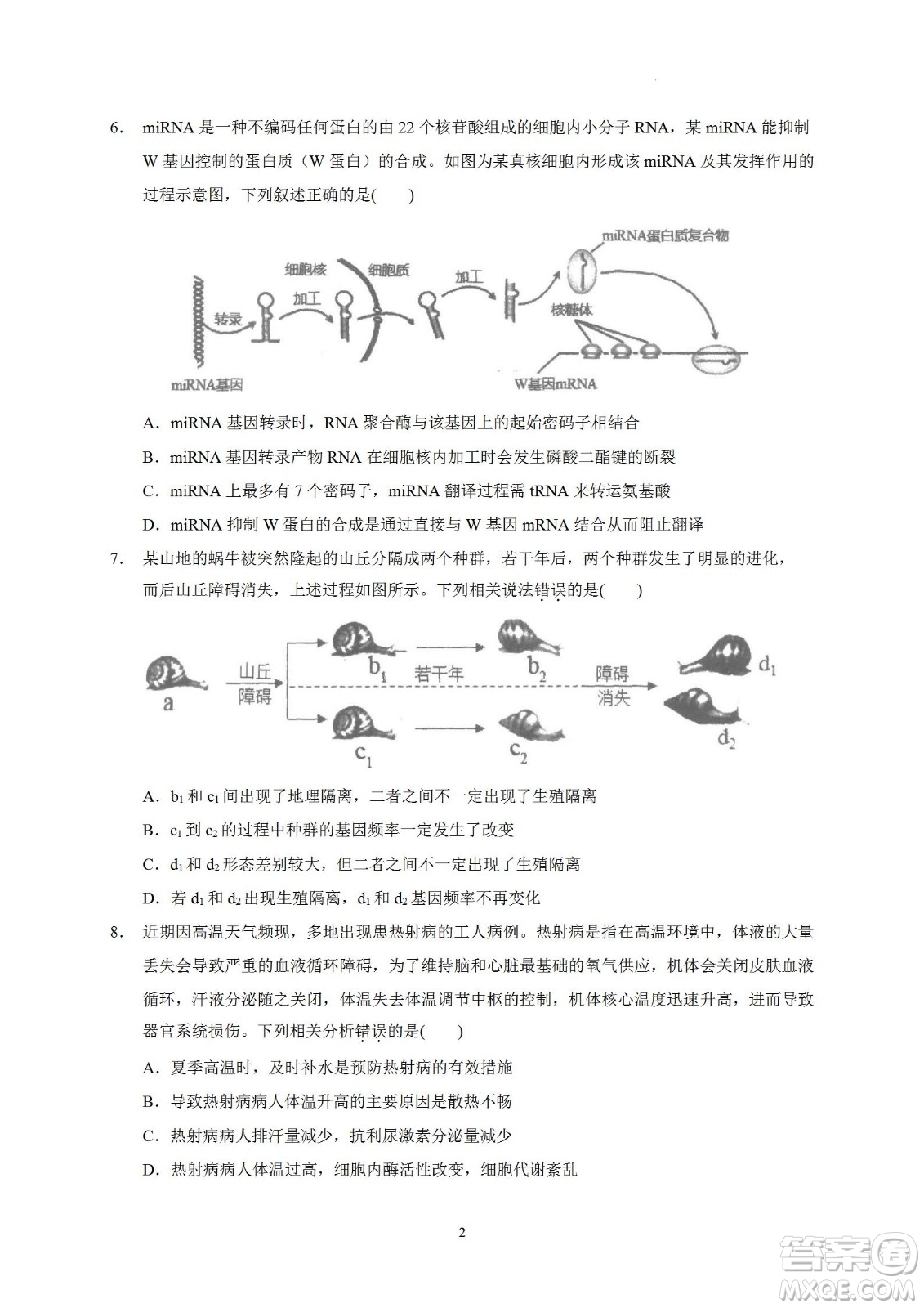 汕頭市金山中學(xué)2023屆高三第一學(xué)期摸底考試生物試題及答案