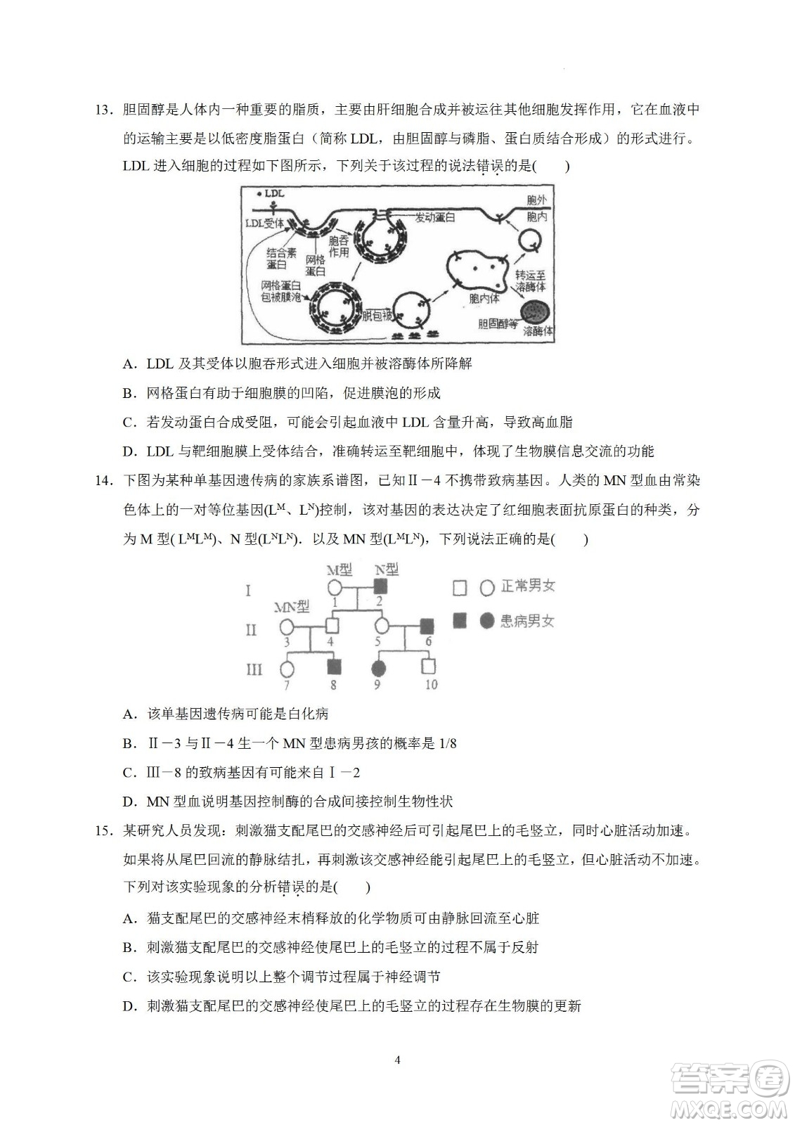 汕頭市金山中學(xué)2023屆高三第一學(xué)期摸底考試生物試題及答案