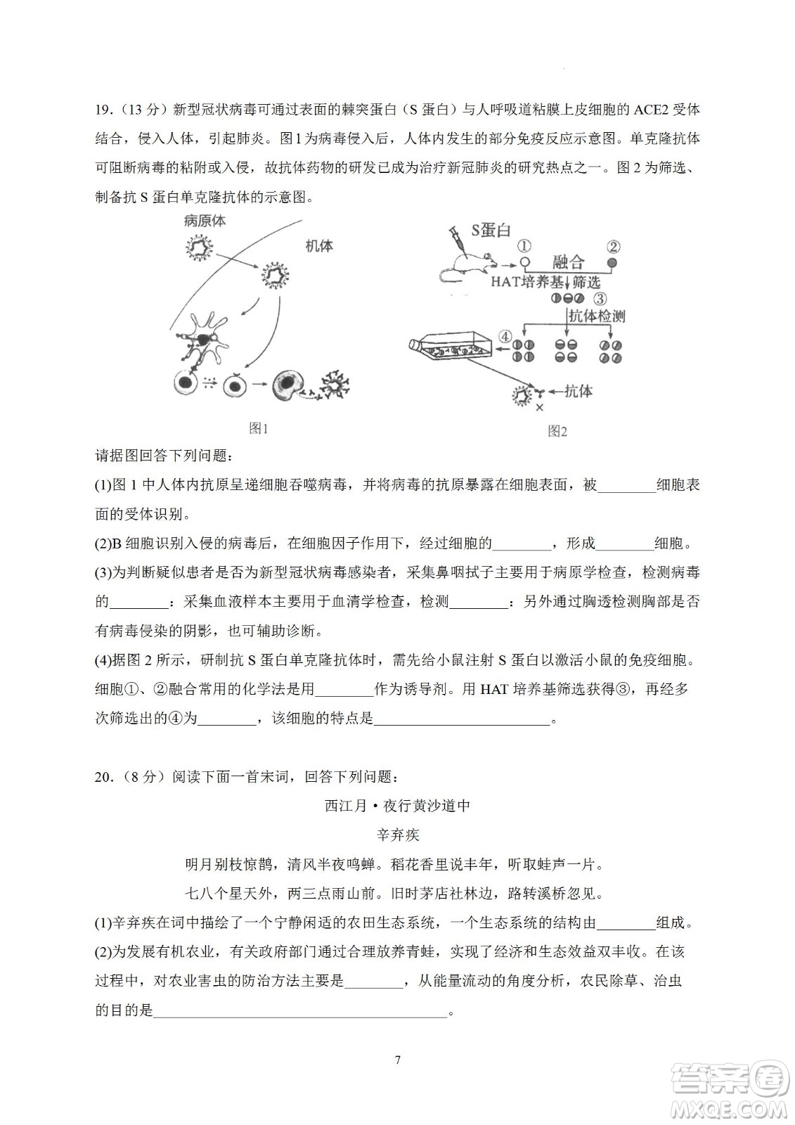 汕頭市金山中學(xué)2023屆高三第一學(xué)期摸底考試生物試題及答案