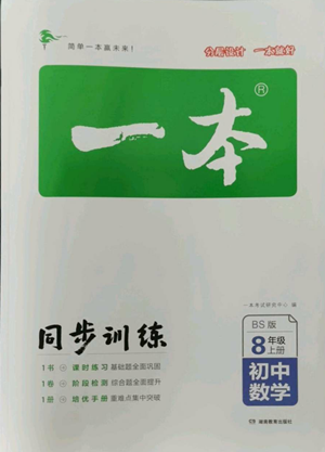 湖南教育出版社2022一本同步訓(xùn)練八年級(jí)上冊(cè)數(shù)學(xué)北師大版參考答案