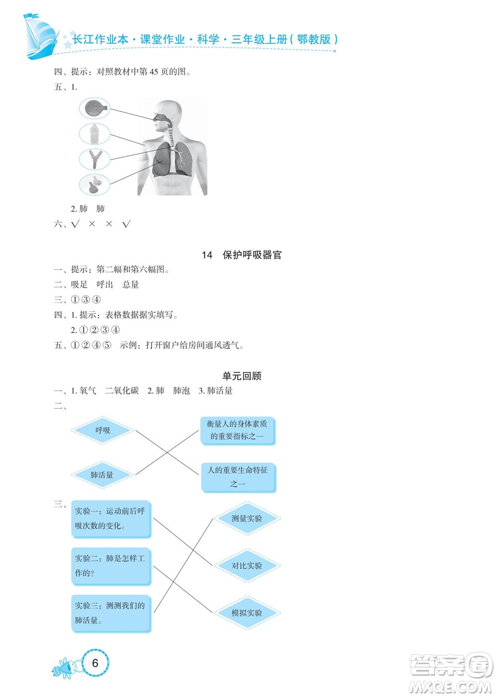 湖北教育出版社2022秋長江作業(yè)本課堂作業(yè)科學(xué)三年級(jí)上冊(cè)人教鄂教版答案