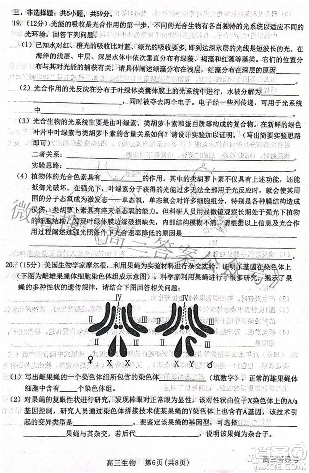 河北省2023屆高三學生全過程縱向評價一生物試題及答案