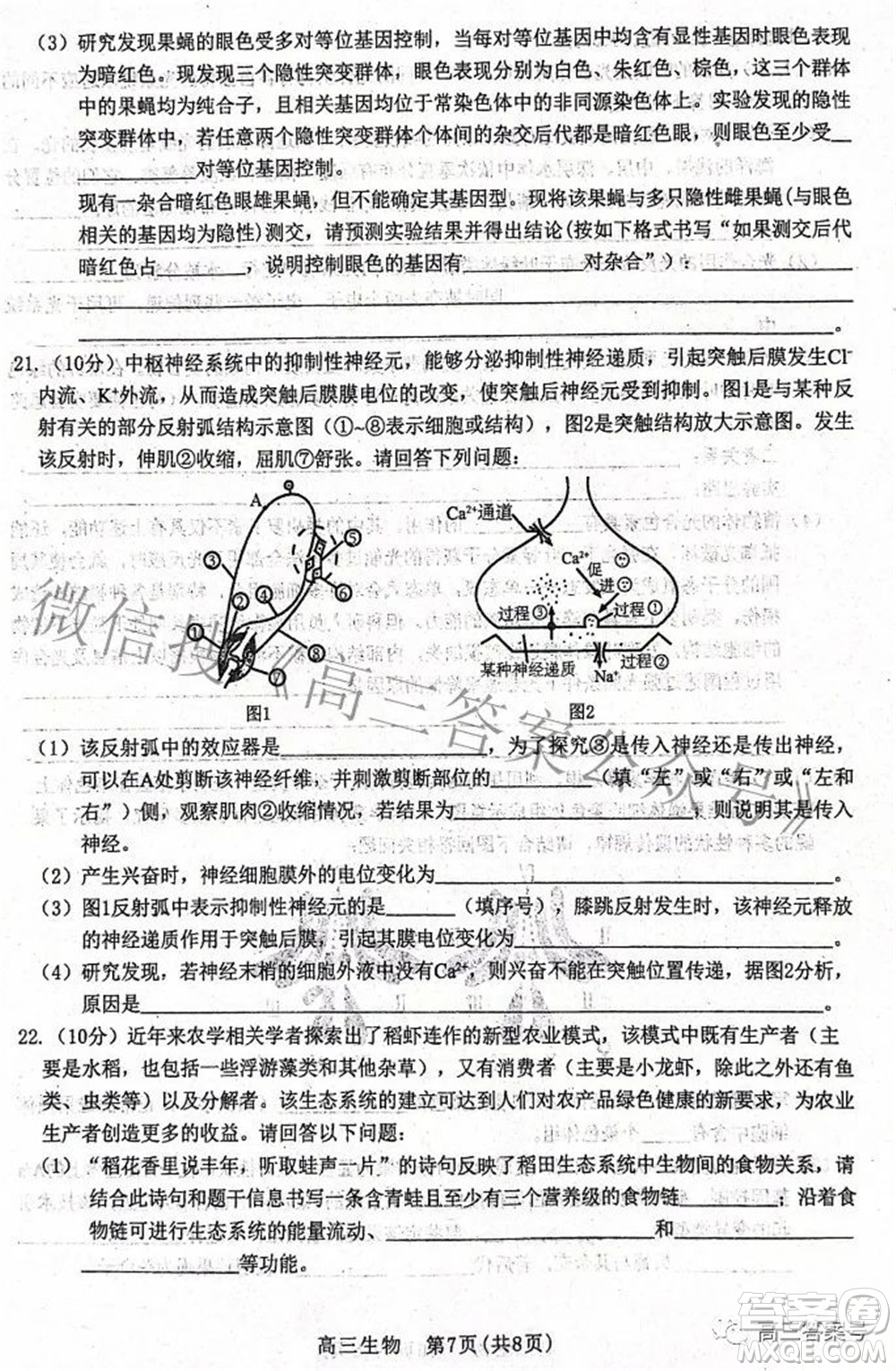 河北省2023屆高三學生全過程縱向評價一生物試題及答案