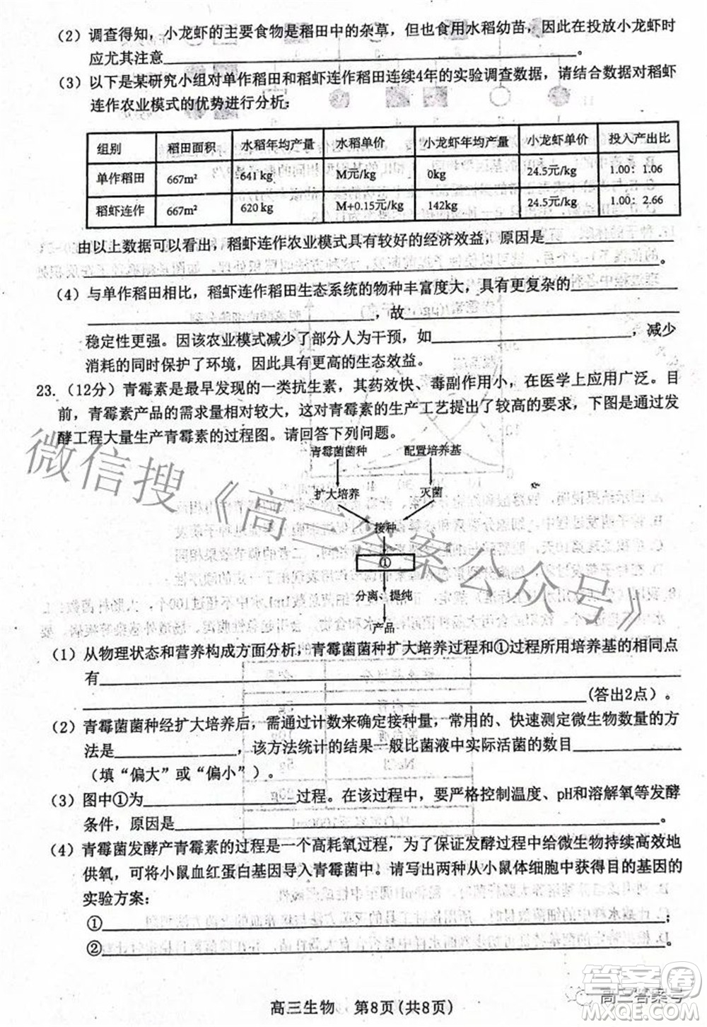 河北省2023屆高三學生全過程縱向評價一生物試題及答案