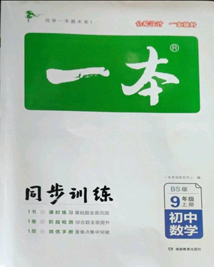 湖南教育出版社2022一本同步訓(xùn)練九年級(jí)上冊數(shù)學(xué)北師大版參考答案