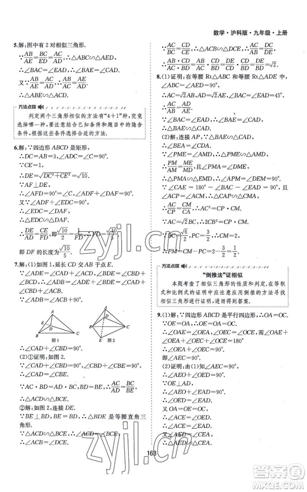 黃山書(shū)社2022新編基礎(chǔ)訓(xùn)練九年級(jí)上冊(cè)數(shù)學(xué)滬科版參考答案