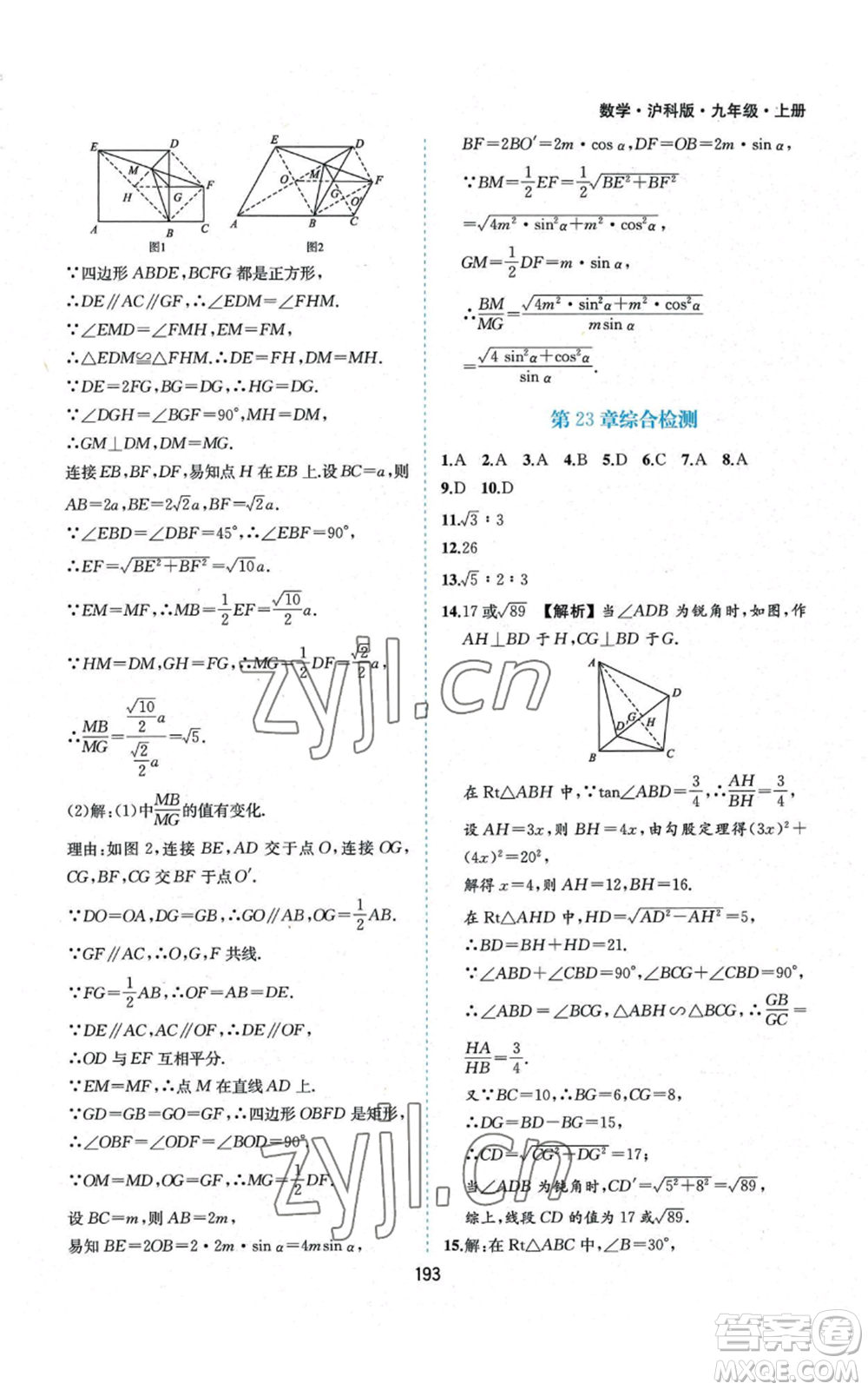 黃山書(shū)社2022新編基礎(chǔ)訓(xùn)練九年級(jí)上冊(cè)數(shù)學(xué)滬科版參考答案