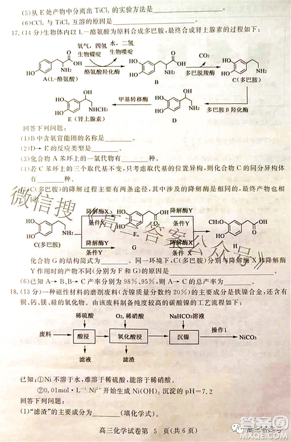 2023屆高三黃岡市9月調(diào)研考試化學(xué)試題及答案