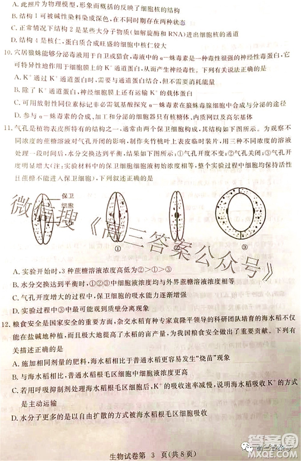 2023屆高三黃岡市9月調(diào)研考試生物試題及答案