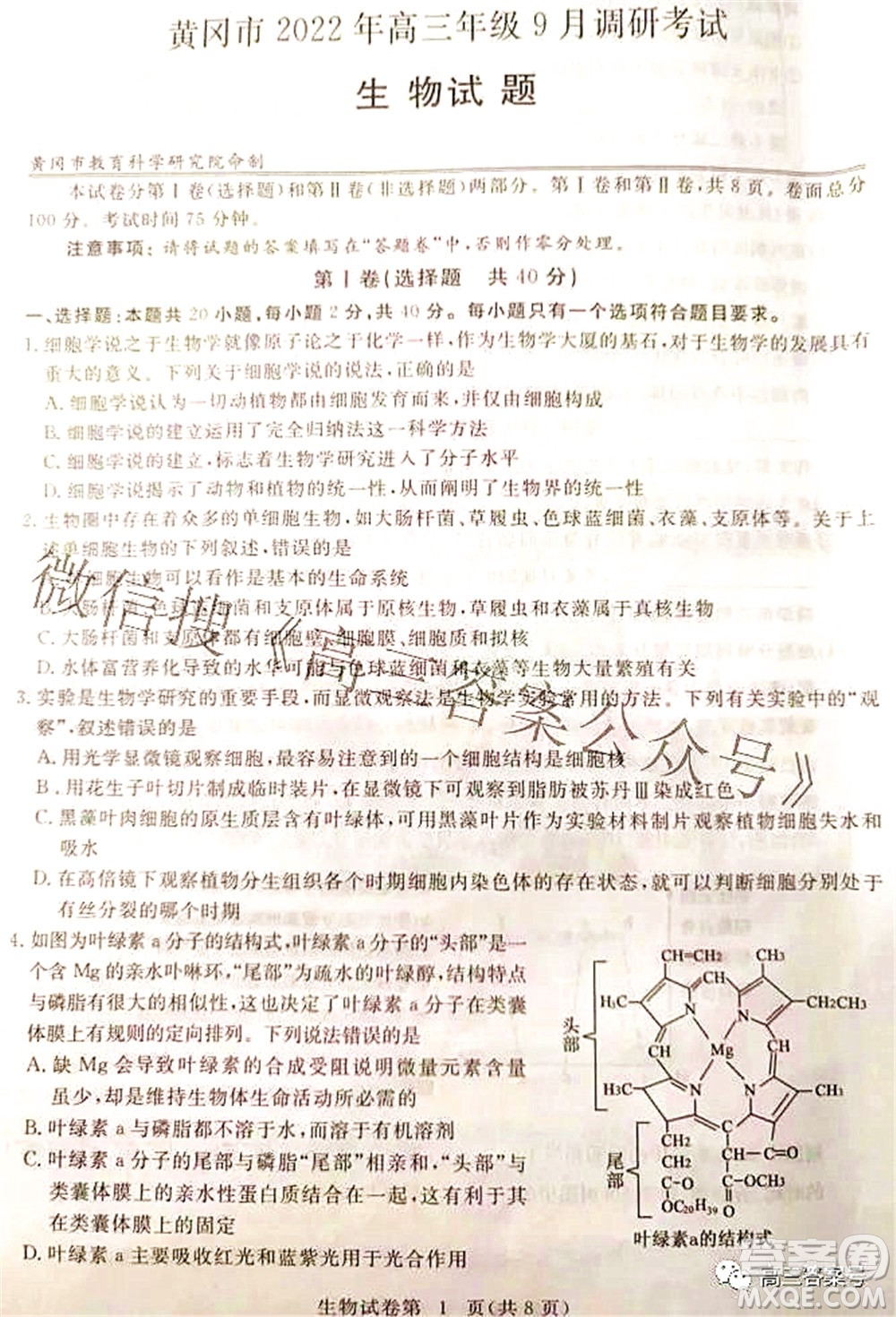 2023屆高三黃岡市9月調(diào)研考試生物試題及答案