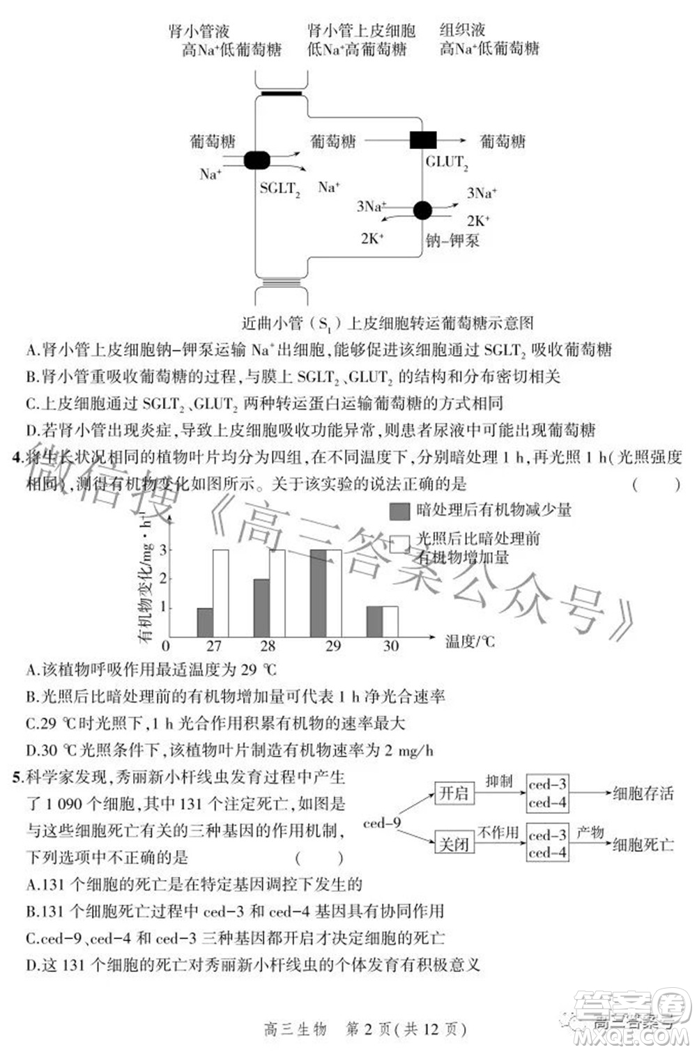 2023屆河北省示范性高中高三年級(jí)調(diào)研考試生物試題及答案