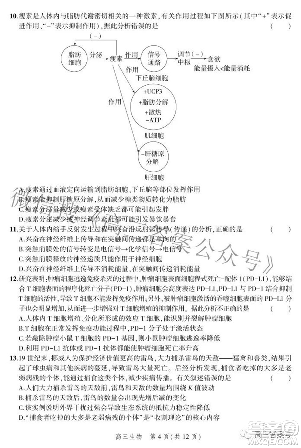 2023屆河北省示范性高中高三年級(jí)調(diào)研考試生物試題及答案