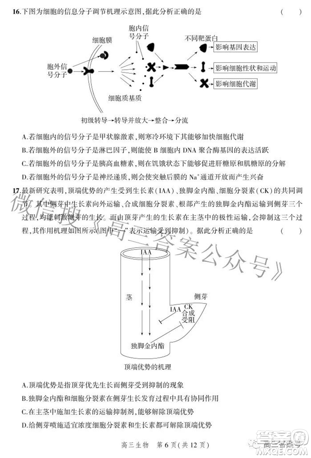 2023屆河北省示范性高中高三年級(jí)調(diào)研考試生物試題及答案