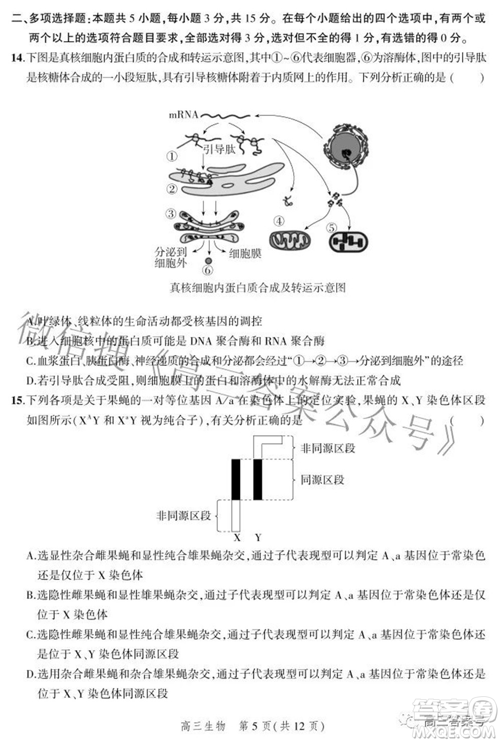 2023屆河北省示范性高中高三年級(jí)調(diào)研考試生物試題及答案