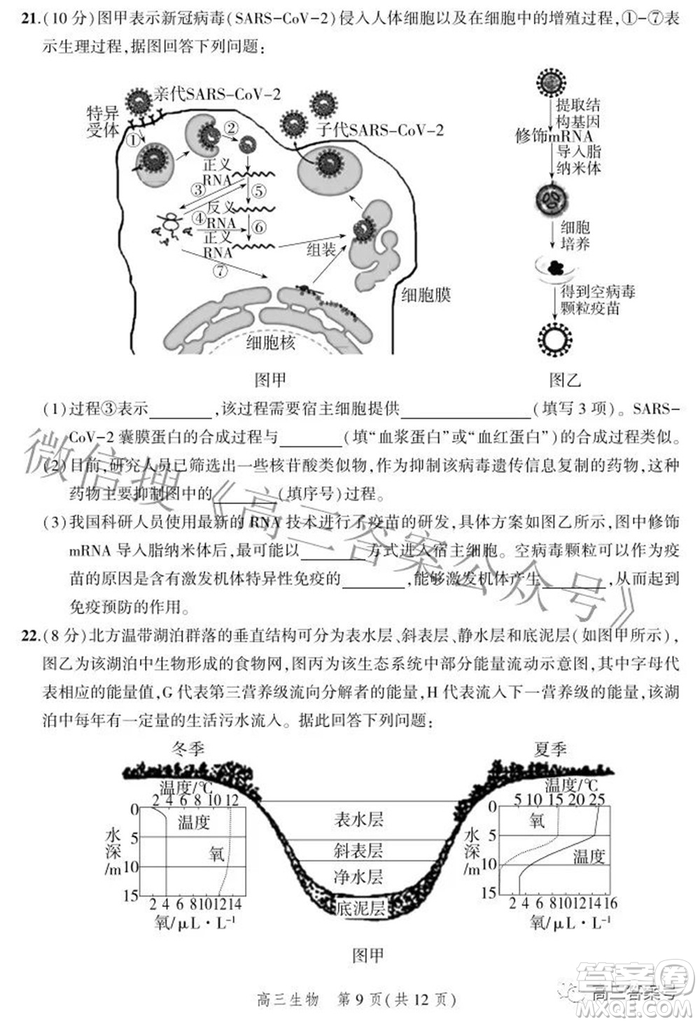 2023屆河北省示范性高中高三年級(jí)調(diào)研考試生物試題及答案