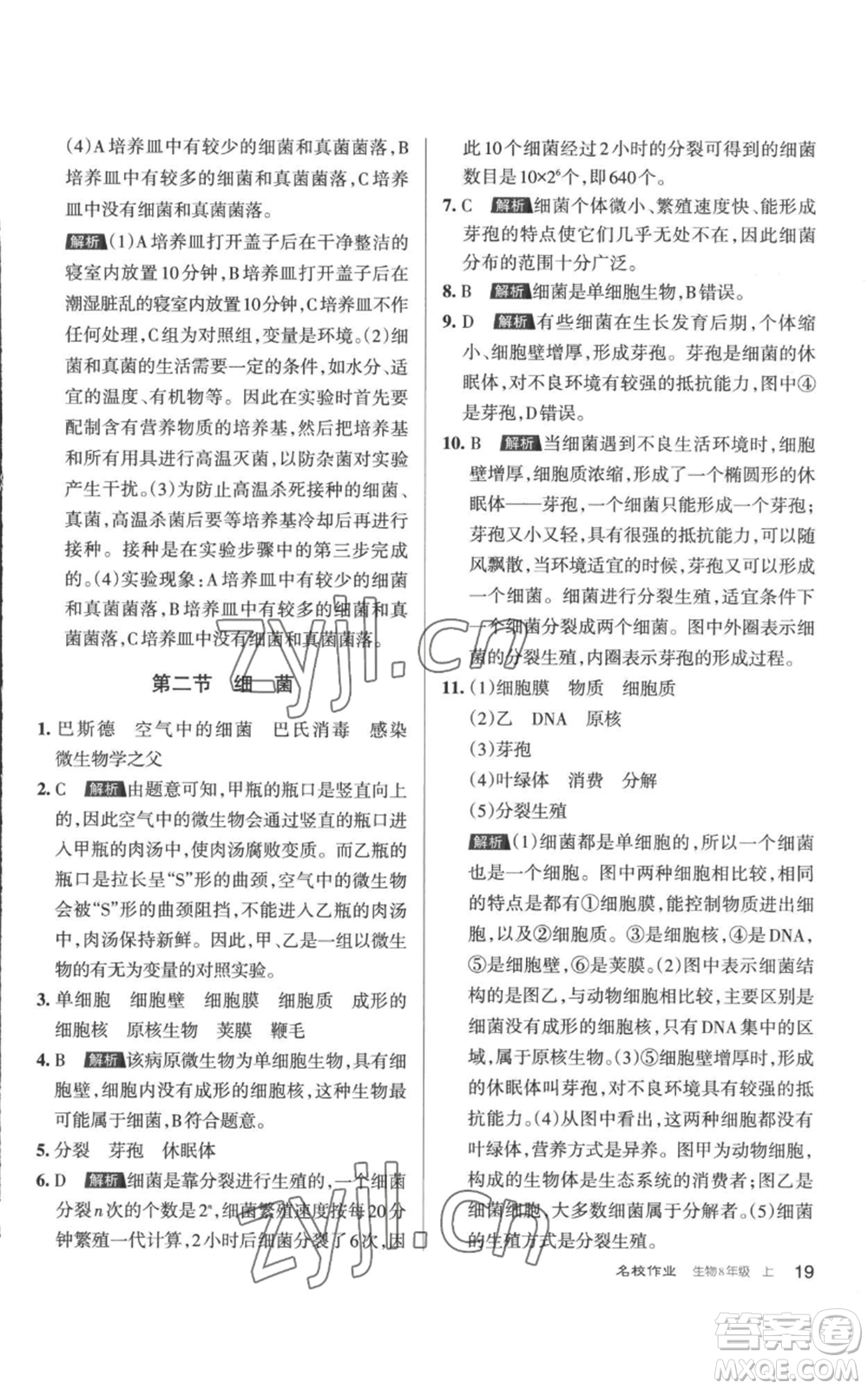 北京教育出版社2022秋季名校作業(yè)八年級上冊生物人教版參考答案