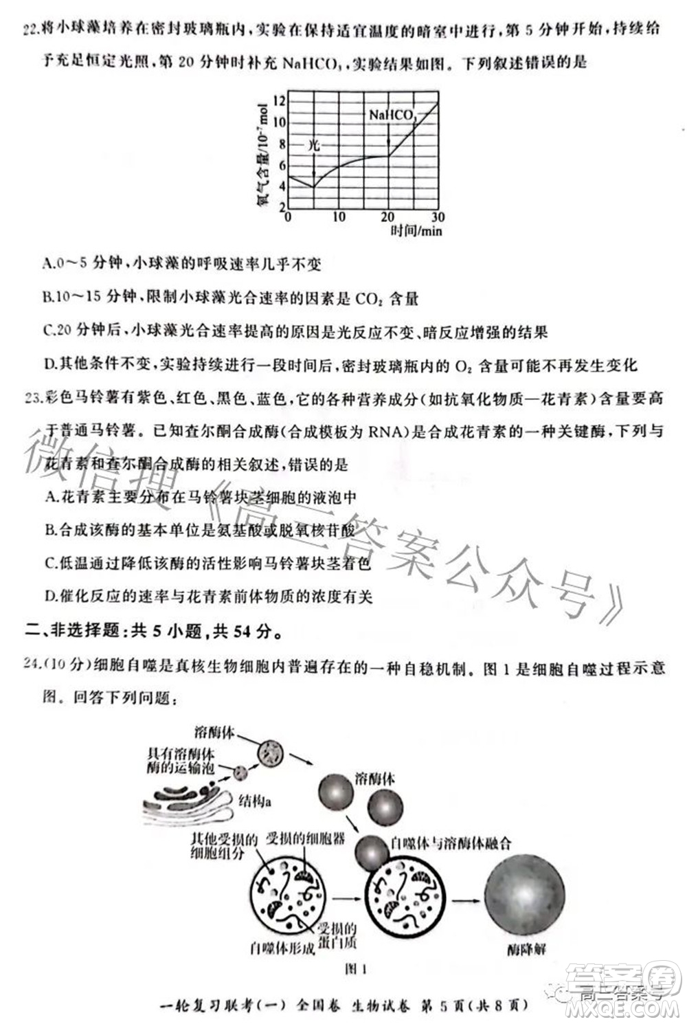 百師聯(lián)盟2023屆高三一輪復習聯(lián)考一全國卷生物試題及答案