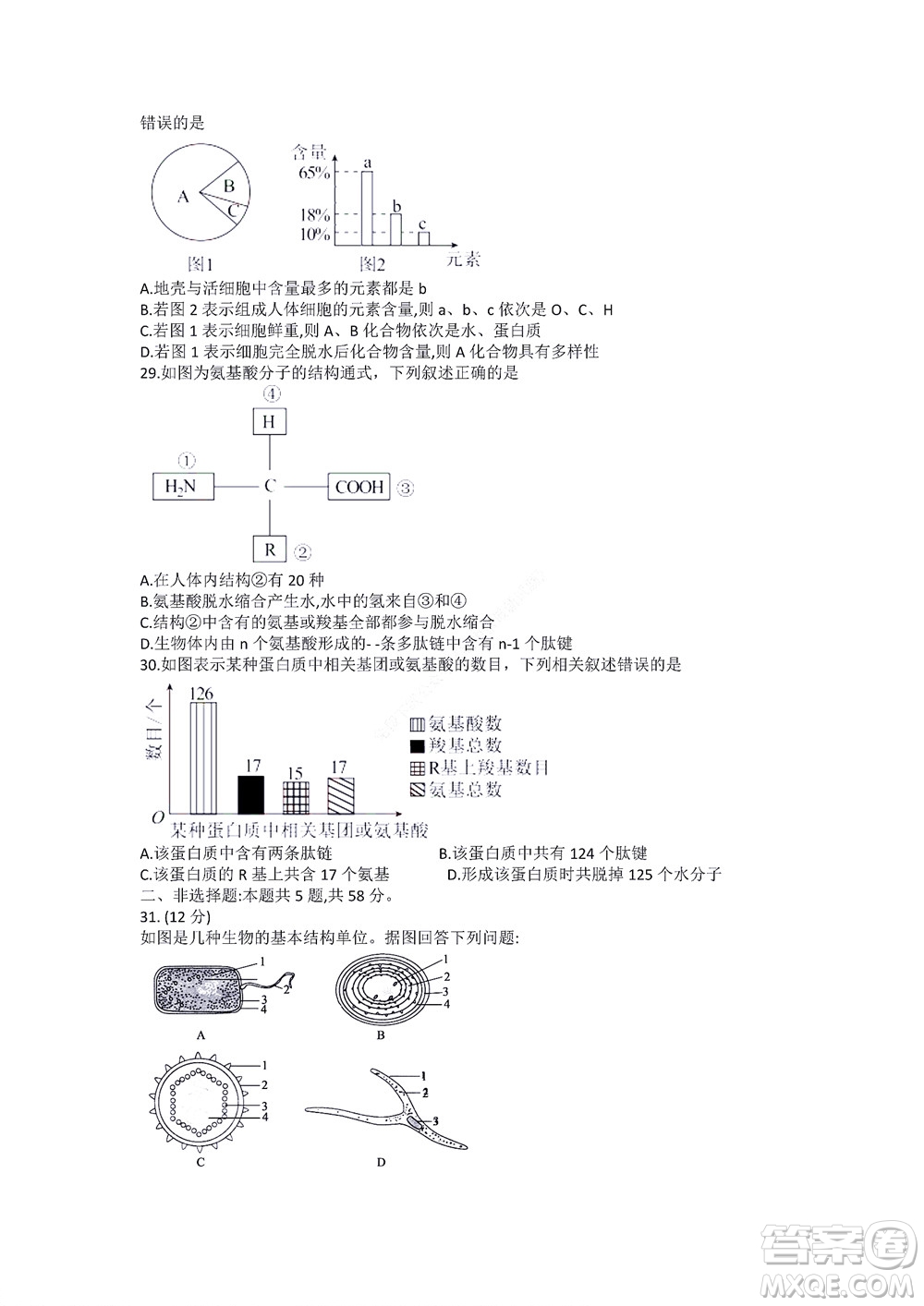 湖南省部分學(xué)校2022-2023學(xué)年度上學(xué)期高一年級一調(diào)考試生物試題及答案