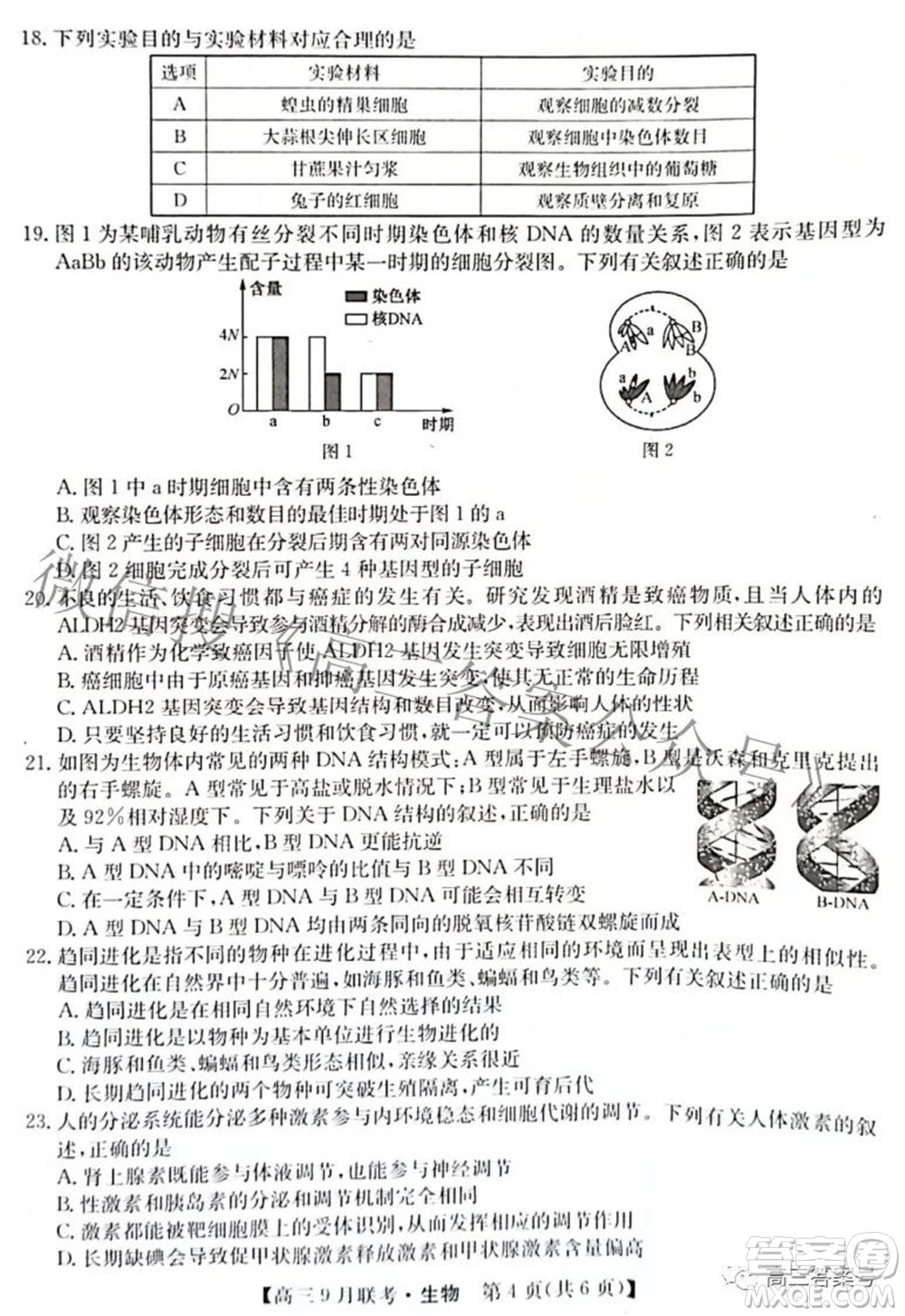 2023屆陜西省九師聯(lián)盟高三9月聯(lián)考生物試題及答案