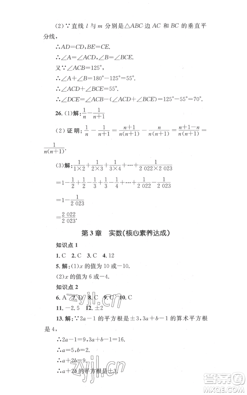 湖南教育出版社2022學(xué)科素養(yǎng)與能力提升八年級上冊數(shù)學(xué)湘教版參考答案