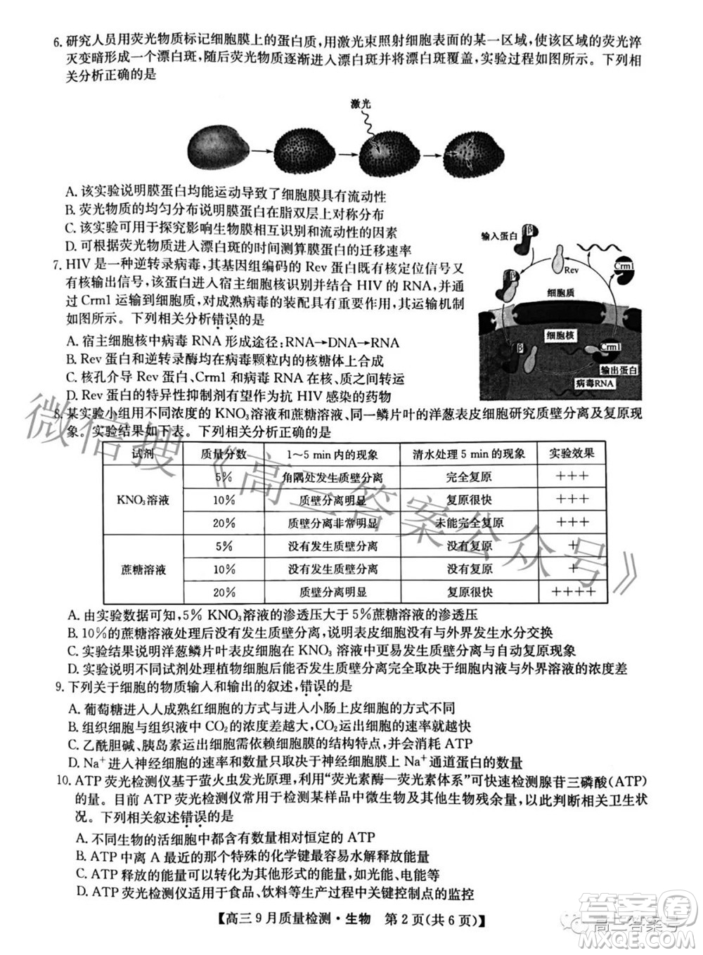 2023屆九師聯(lián)盟新高考高三9月質(zhì)量檢測(cè)生物試題及答案