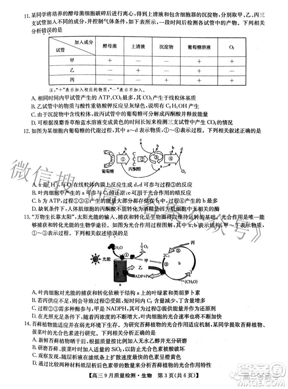 2023屆九師聯(lián)盟新高考高三9月質(zhì)量檢測(cè)生物試題及答案