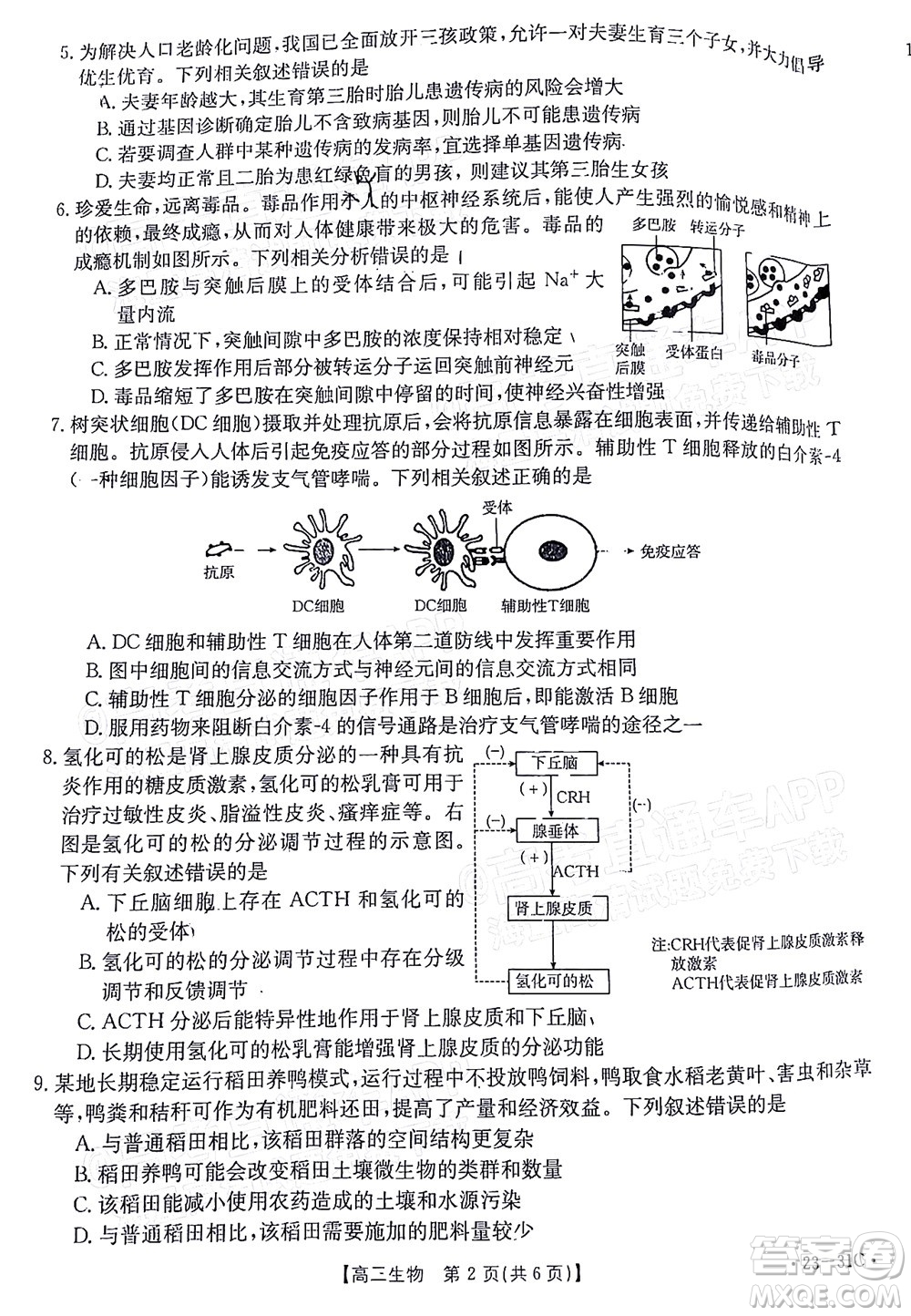 2023屆廣東金太陽高三9月聯(lián)考生物試題及答案