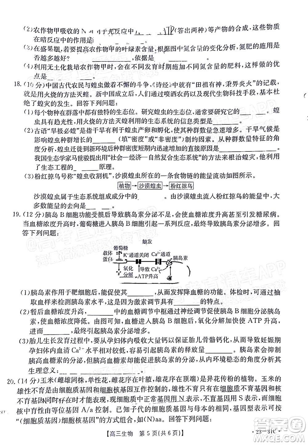 2023屆廣東金太陽高三9月聯(lián)考生物試題及答案