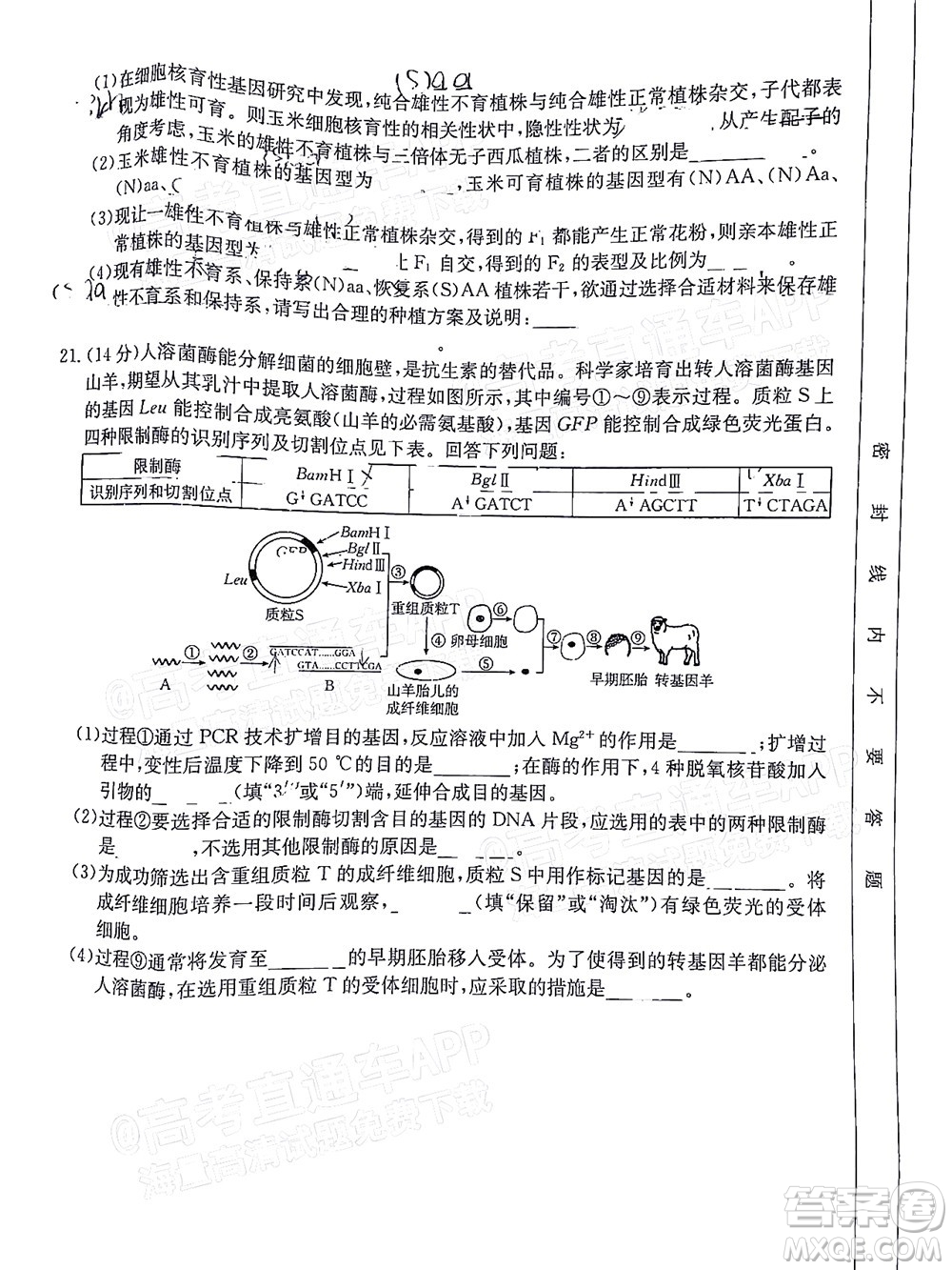 2023屆廣東金太陽高三9月聯(lián)考生物試題及答案