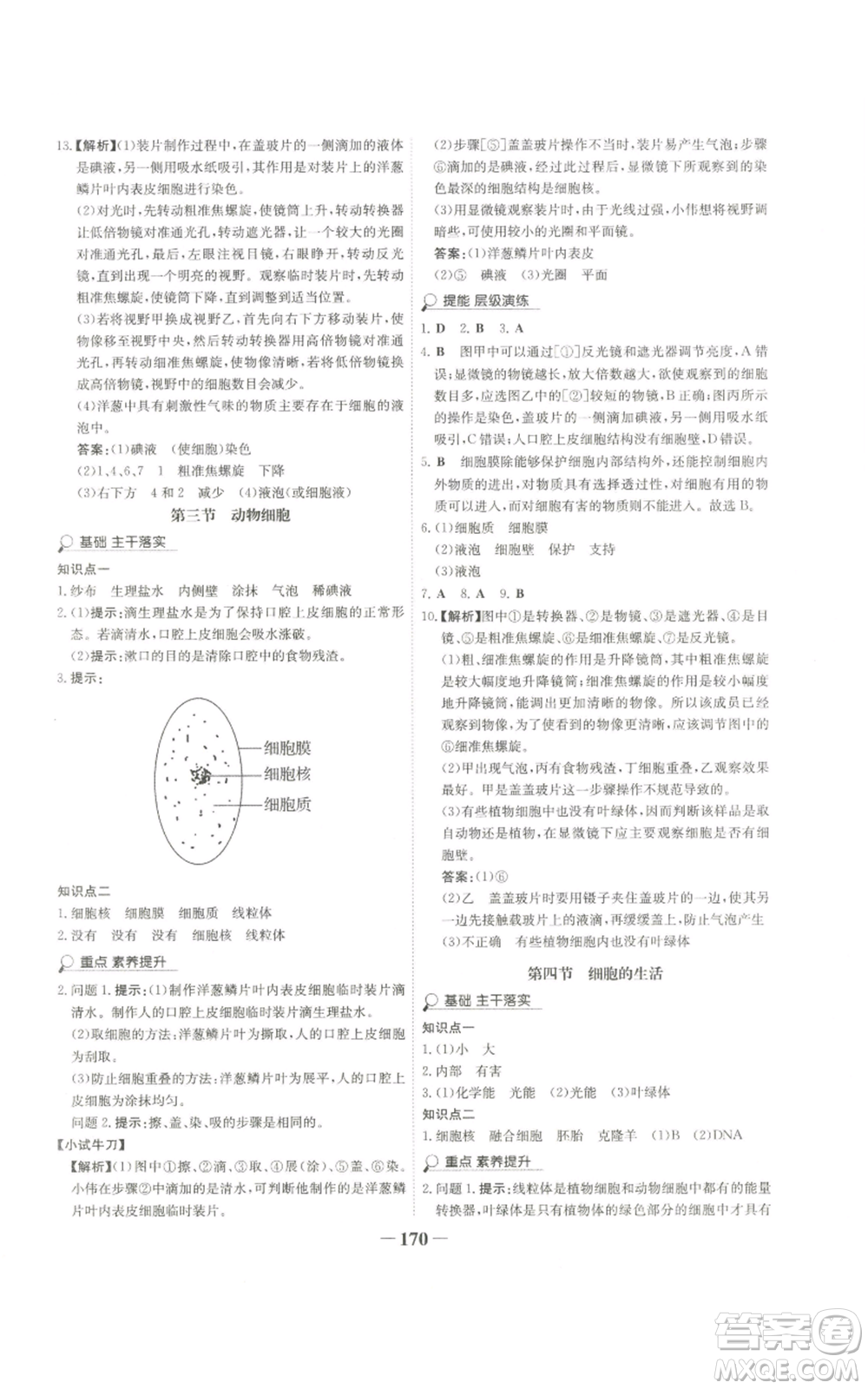 未來出版社2022世紀(jì)金榜金榜學(xué)案七年級上冊生物人教版廣東專版參考答案