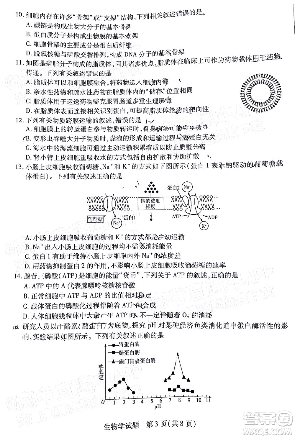 皖豫名校聯(lián)盟2023屆高中畢業(yè)班第一次考試生物學試題及答案